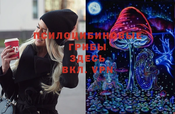 метадон Инсар