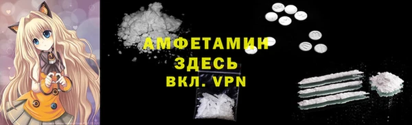 метадон Инсар