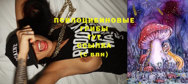 метадон Инсар